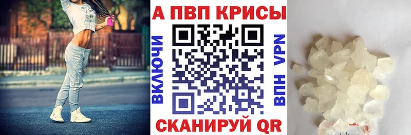 APVP СК КРИС  Аша 