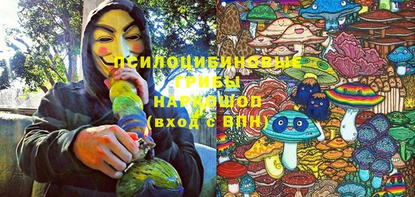 мяу мяу мука Осинники
