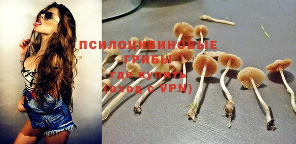 ALPHA PVP Вуктыл