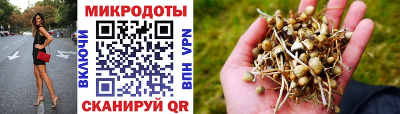 Галлюциногенные грибы Psilocybe  omg ссылки  Аша  наркота 