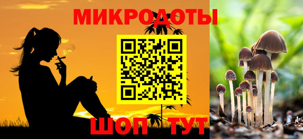 Аша  Галлюциногенные грибы мухоморы  Вход с VPN 