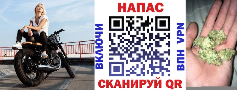 Шишки марихуана гибрид  как найти наркотики  Аша 